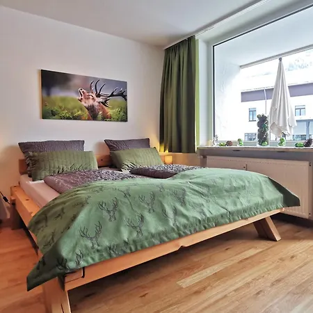 Hirschzauber A9 Montana Haus Оберстдорф